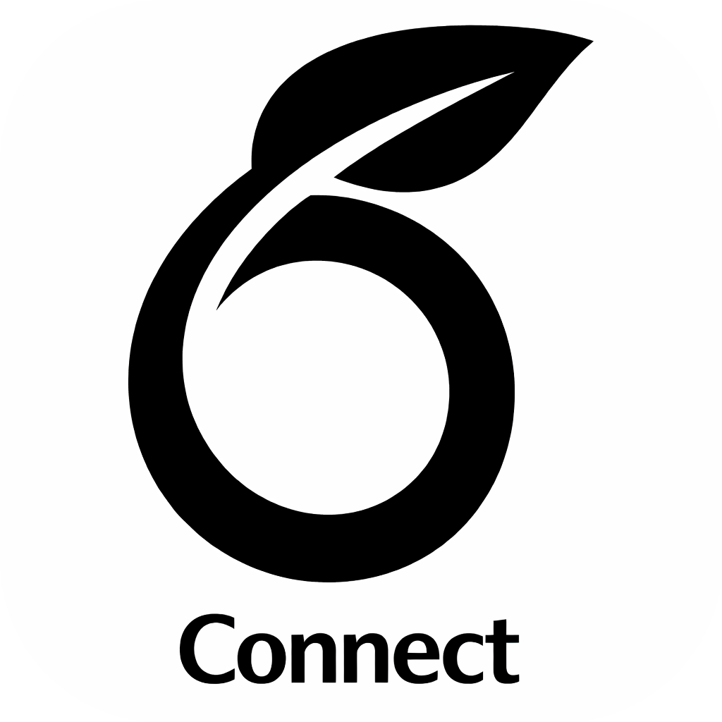 Overleaf Connect